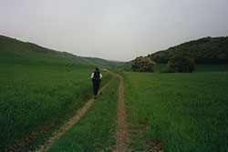 Click for next image...