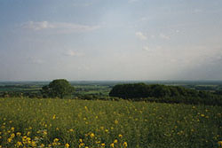 Click for next image...