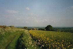 Click for next image...