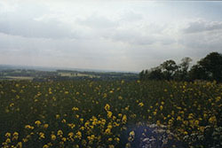 Click for next image...