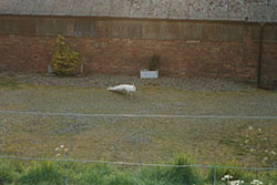 Click for next image...