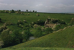 Click for next image...