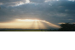 Click for next image...