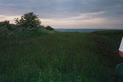 Click for previous image...