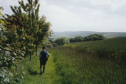 Click for previous image...