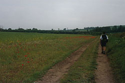 Click for next image...