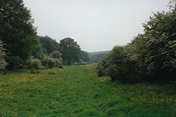 Click for next image...