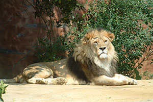 Click for next image...