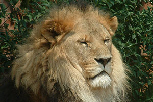 Click for next image...