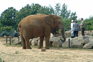 Click for previous image...