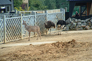 Click for next image...