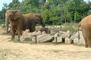 Click for previous image...