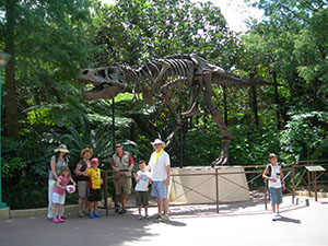 Click for previous image...