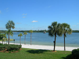 Click for next image...