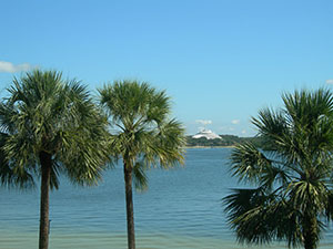 Click for previous image...