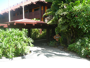 Click for next image...