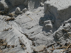 Click for previous image...