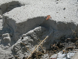 Click for next image...