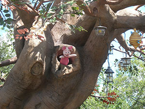 Click for next image...