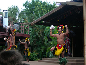 Click for previous image...