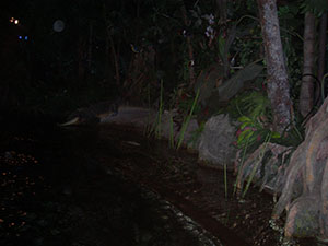 Click for next image...