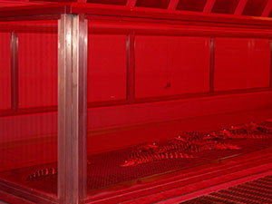 Click for next image...