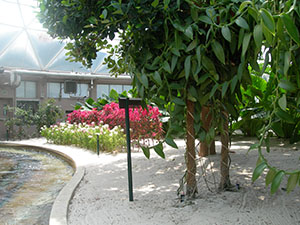 Click for previous image...