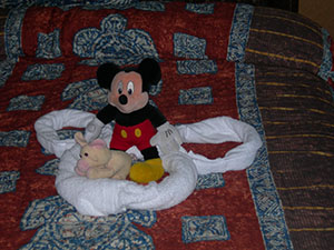 Click for next image...