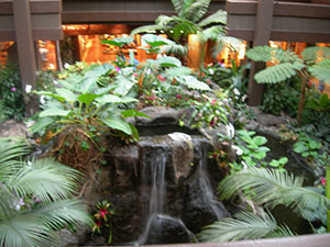 Click for next image...