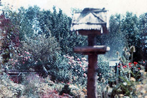 Click for next image...