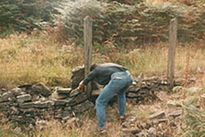 Click for previous image...