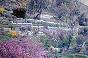 Click for previous image...