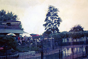 Click for previous image...