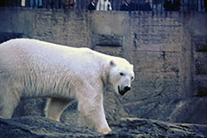 Click for next image...