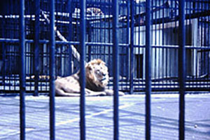 Click for next image...