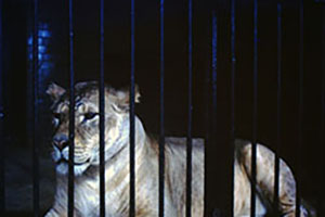 Click for next image...