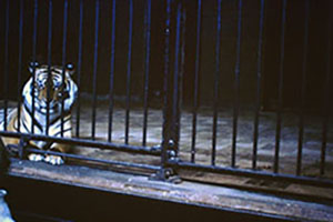 Click for next image...