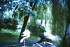 Click for next image...