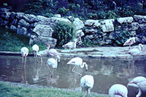 Click for next image...