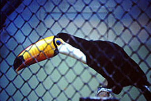 Click for next image...