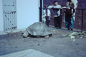 Click for next image...