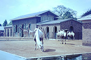 Click for next image...