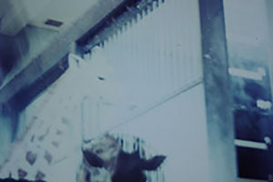 Click for next image...