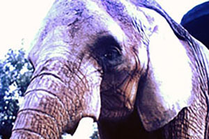 Click for next image...