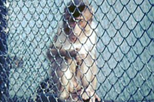 Click for previous image...