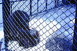 Click for next image...