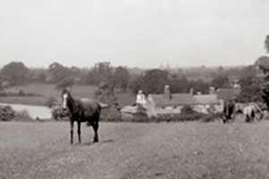 Click for next image...