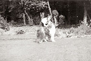 Click for next image...