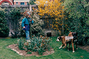 Click for previous image...