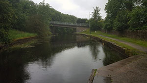 Click for previous image...